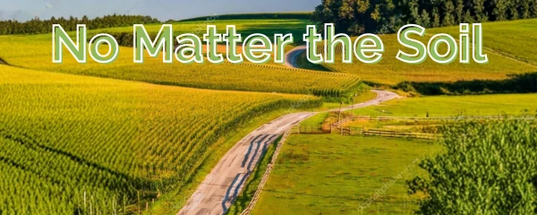 No Matter the Soil