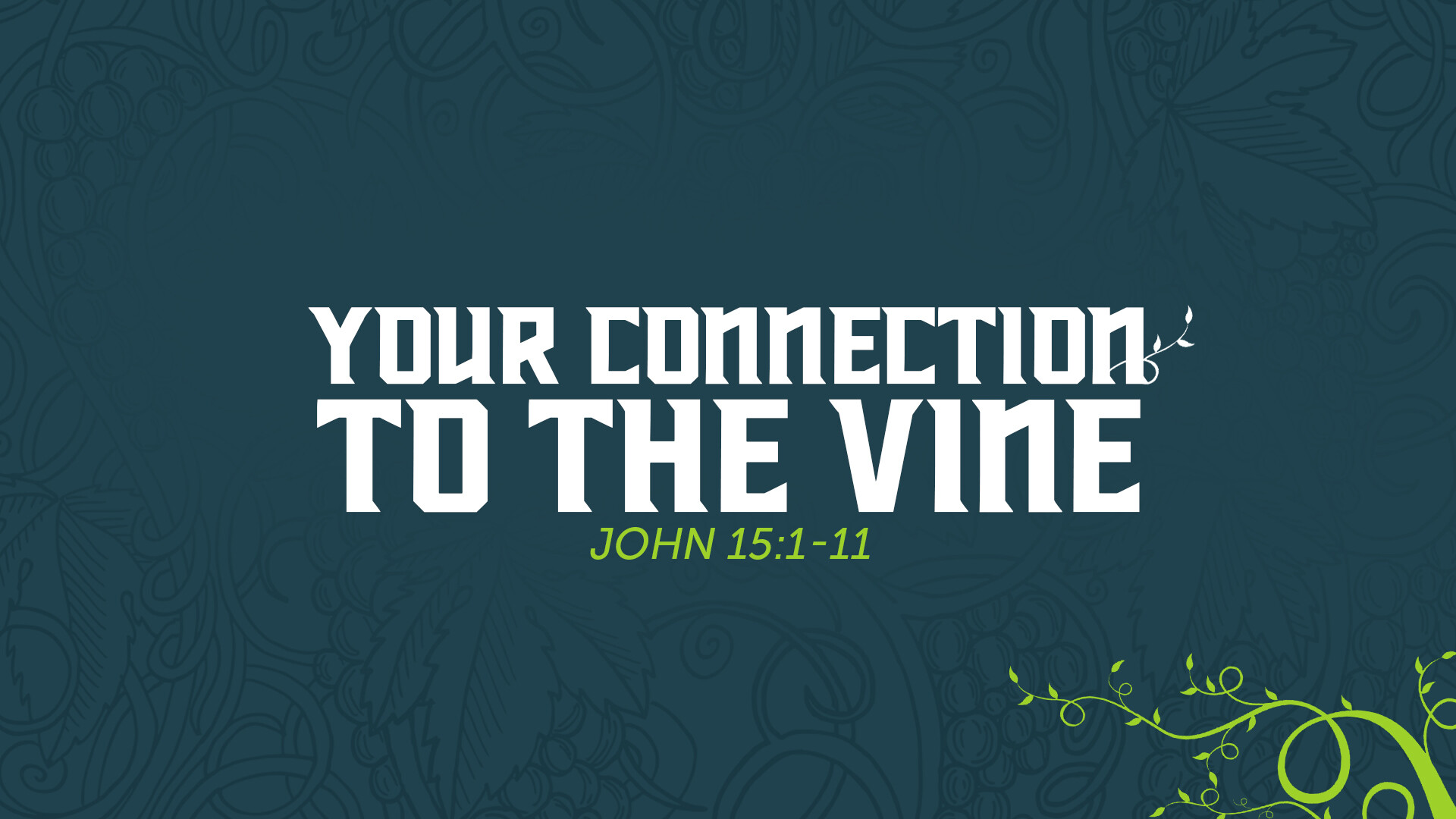 Your Connection To The Vine