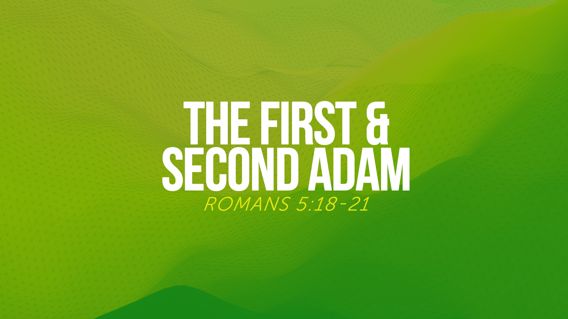 The First & Second Adam