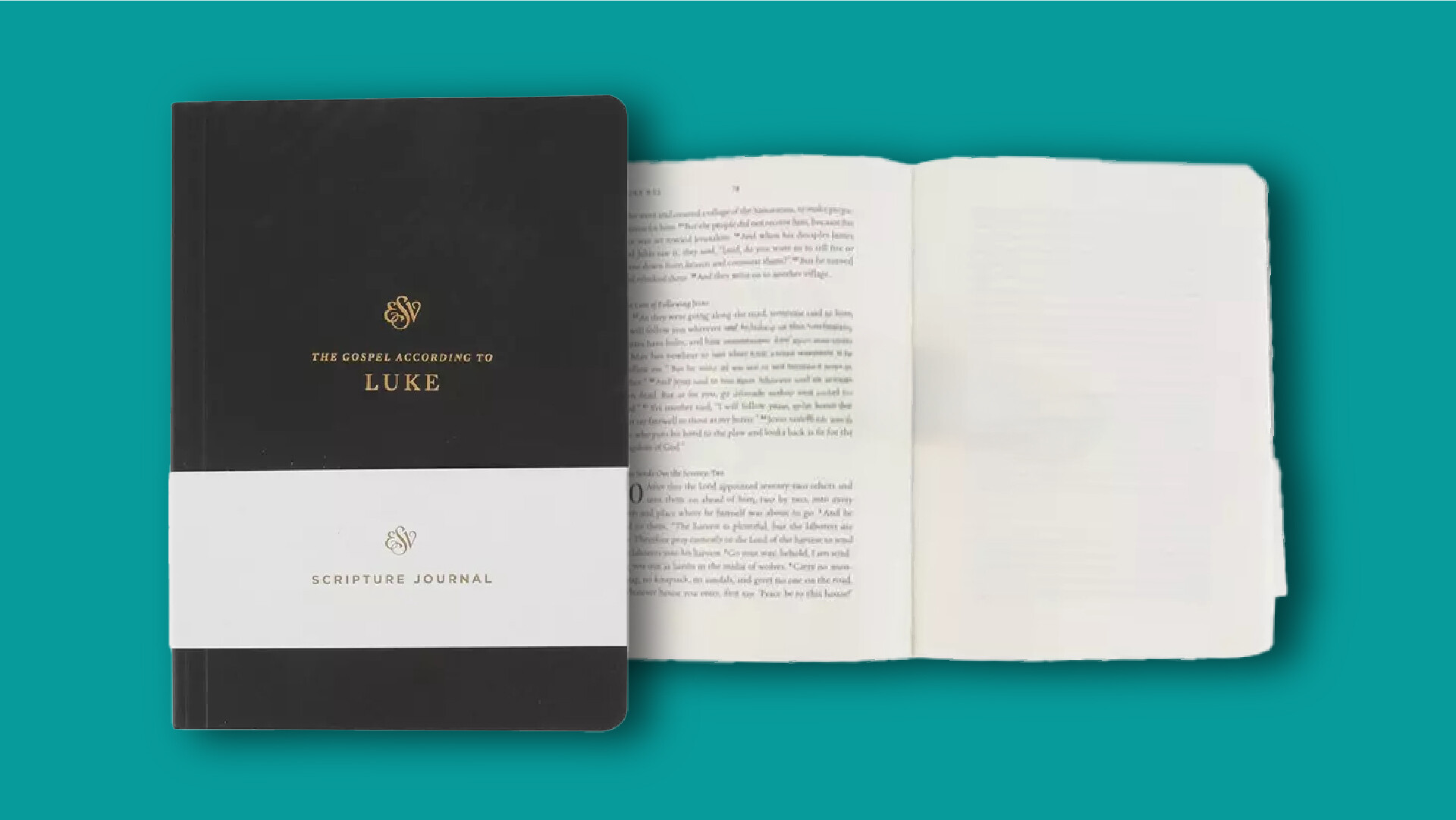 Luke Study Journal