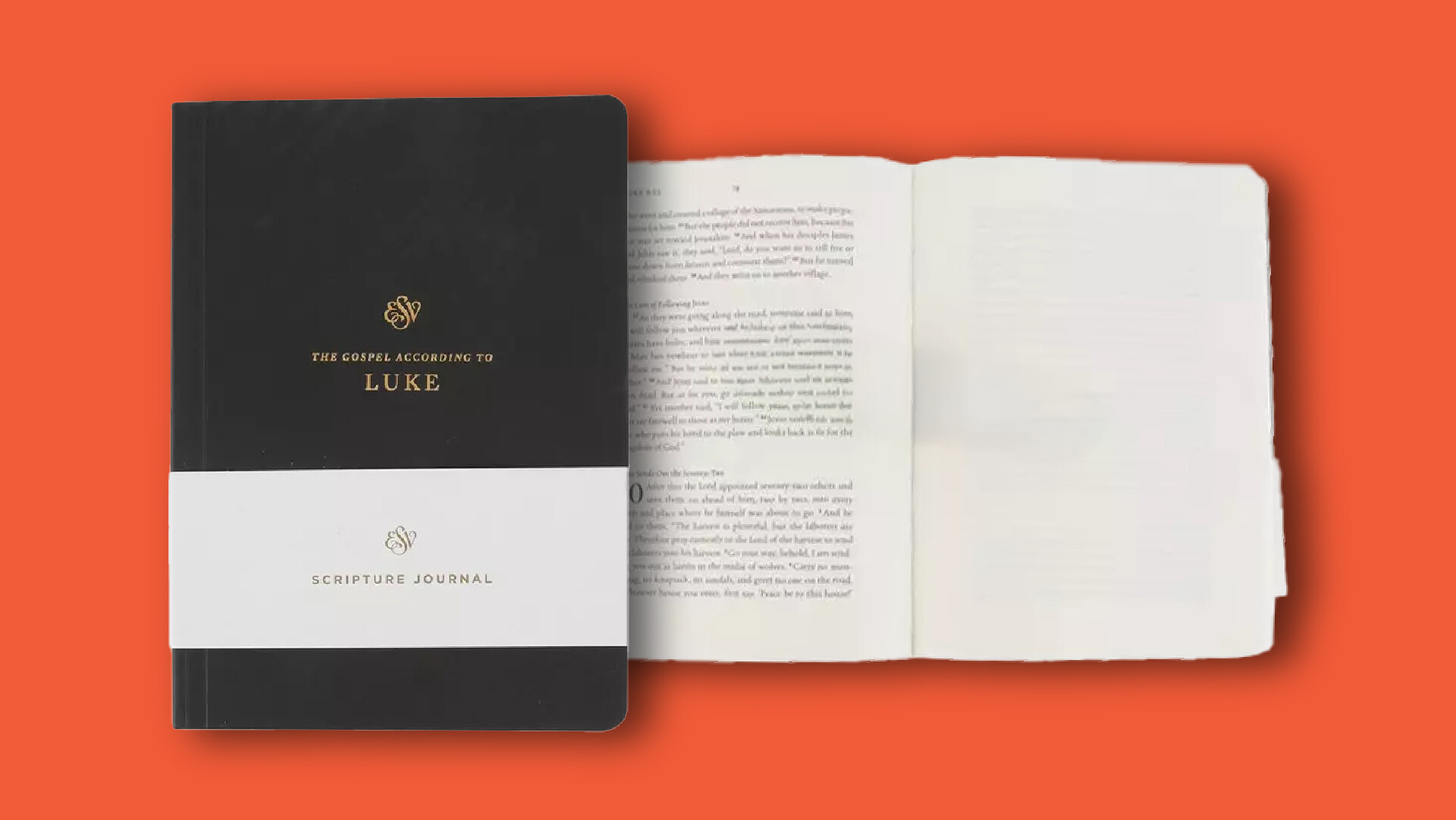 Luke Study Journal
