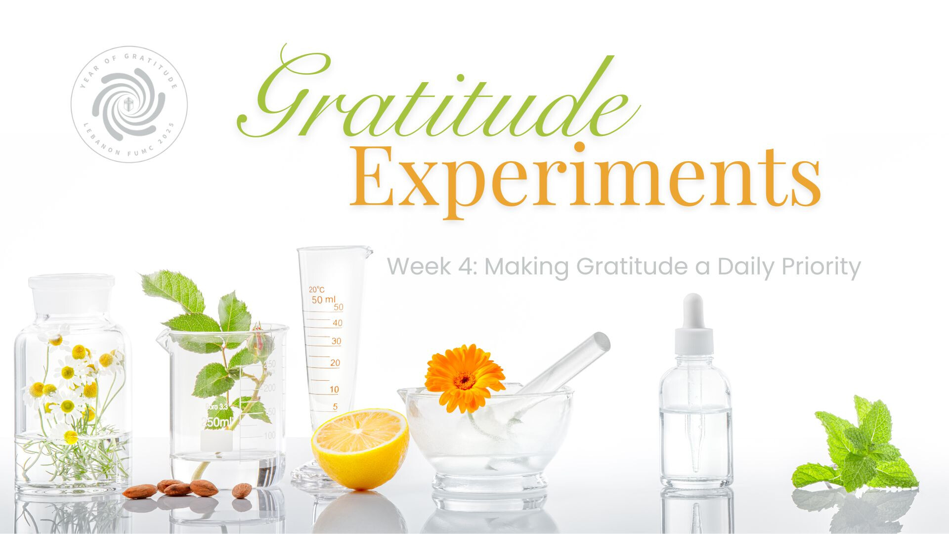 Making Gratitude a Daily Priority (Audio) episode artwork