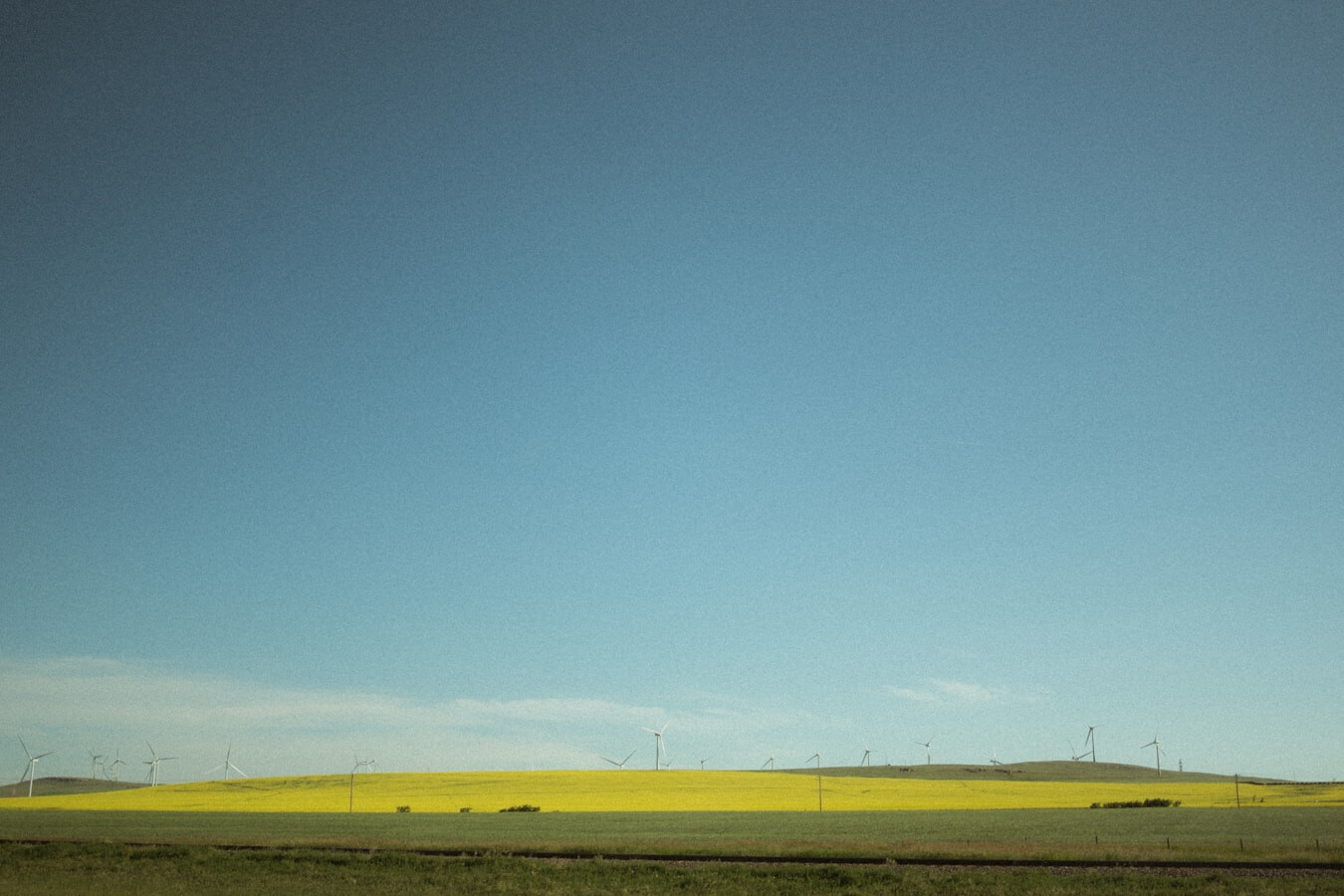 Adult LifeGroup: Stevens