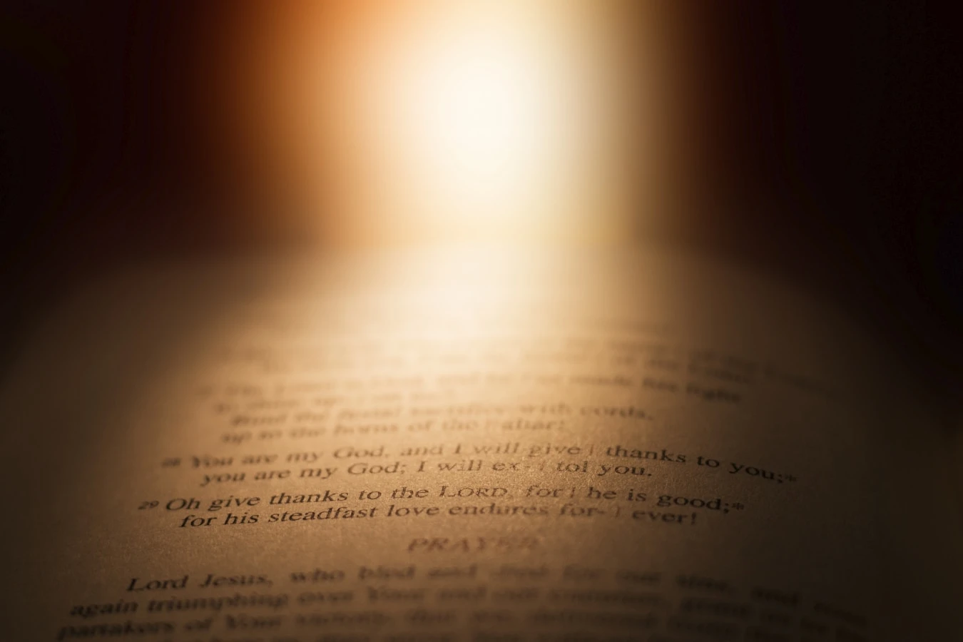 Adult LifeGroup: Ladies Lectio