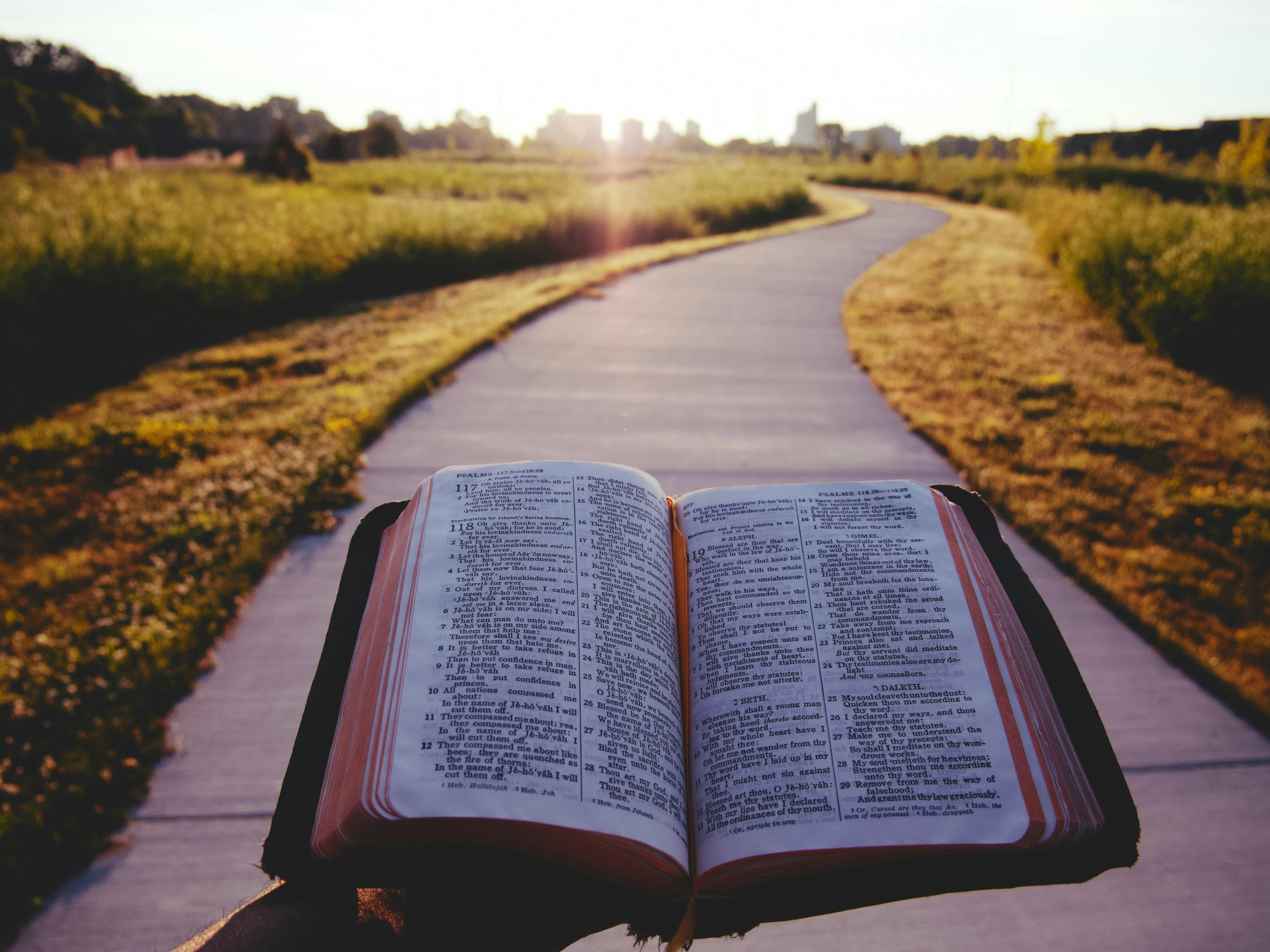 Where Grace Takes Root