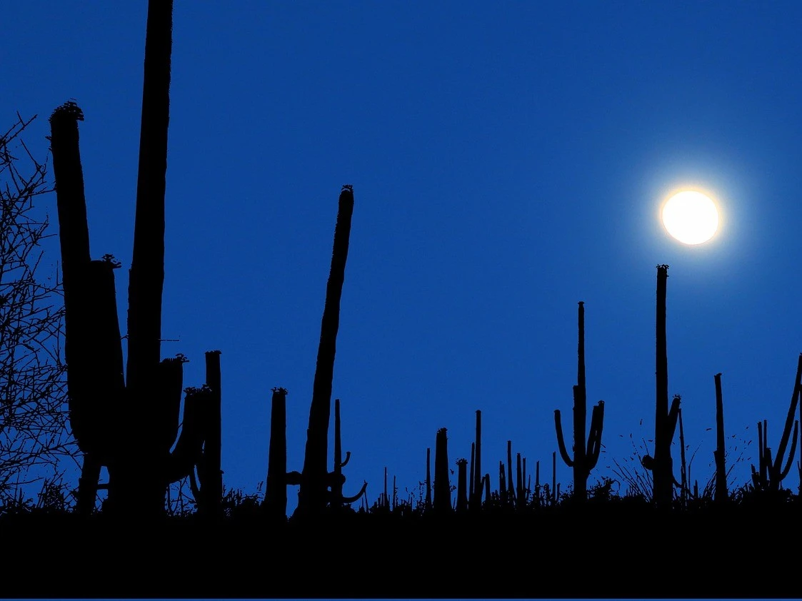 Outdoor Ministries Event: Moonlit Walk in Sabino Canyon