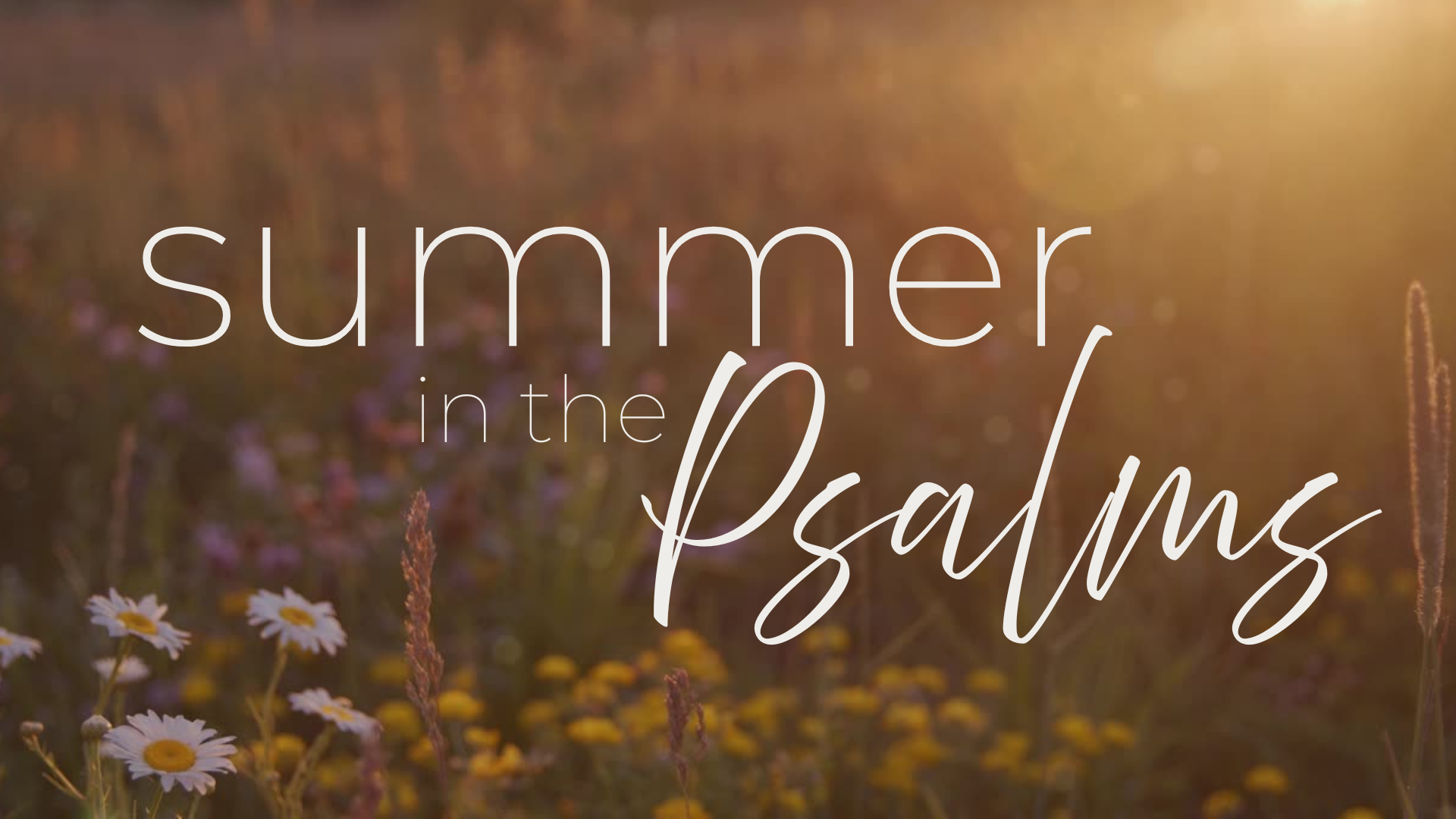 Series - Summer in the Psalms