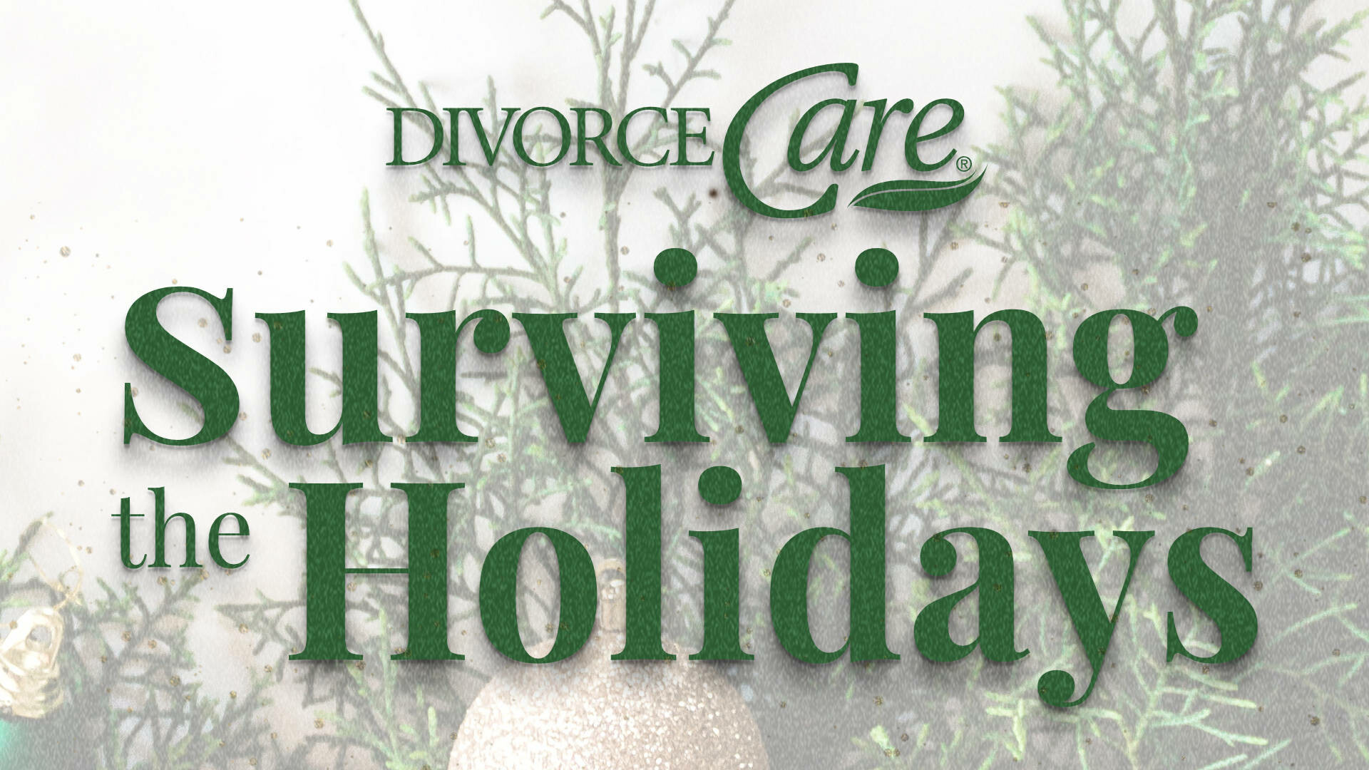 Divorce Care - Surviving the Holidays