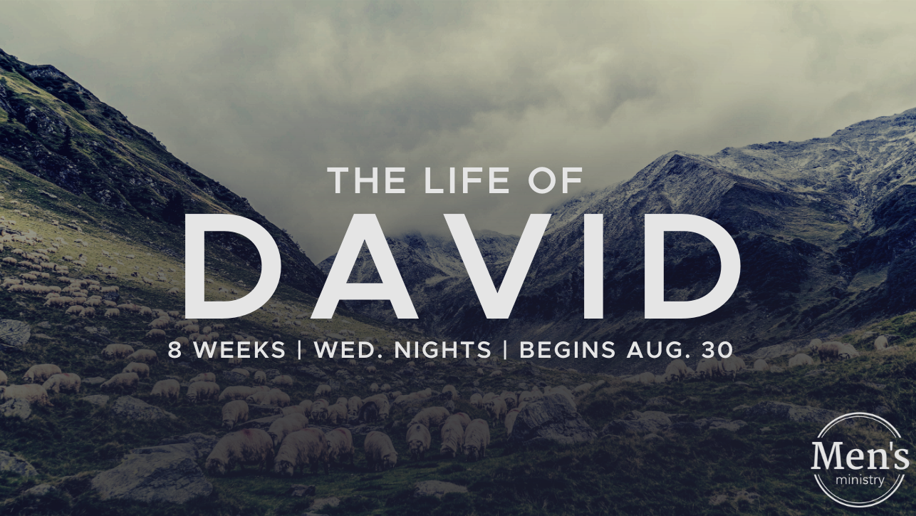 Men's Study: The Life of David
