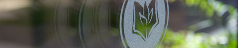 logo_reflection