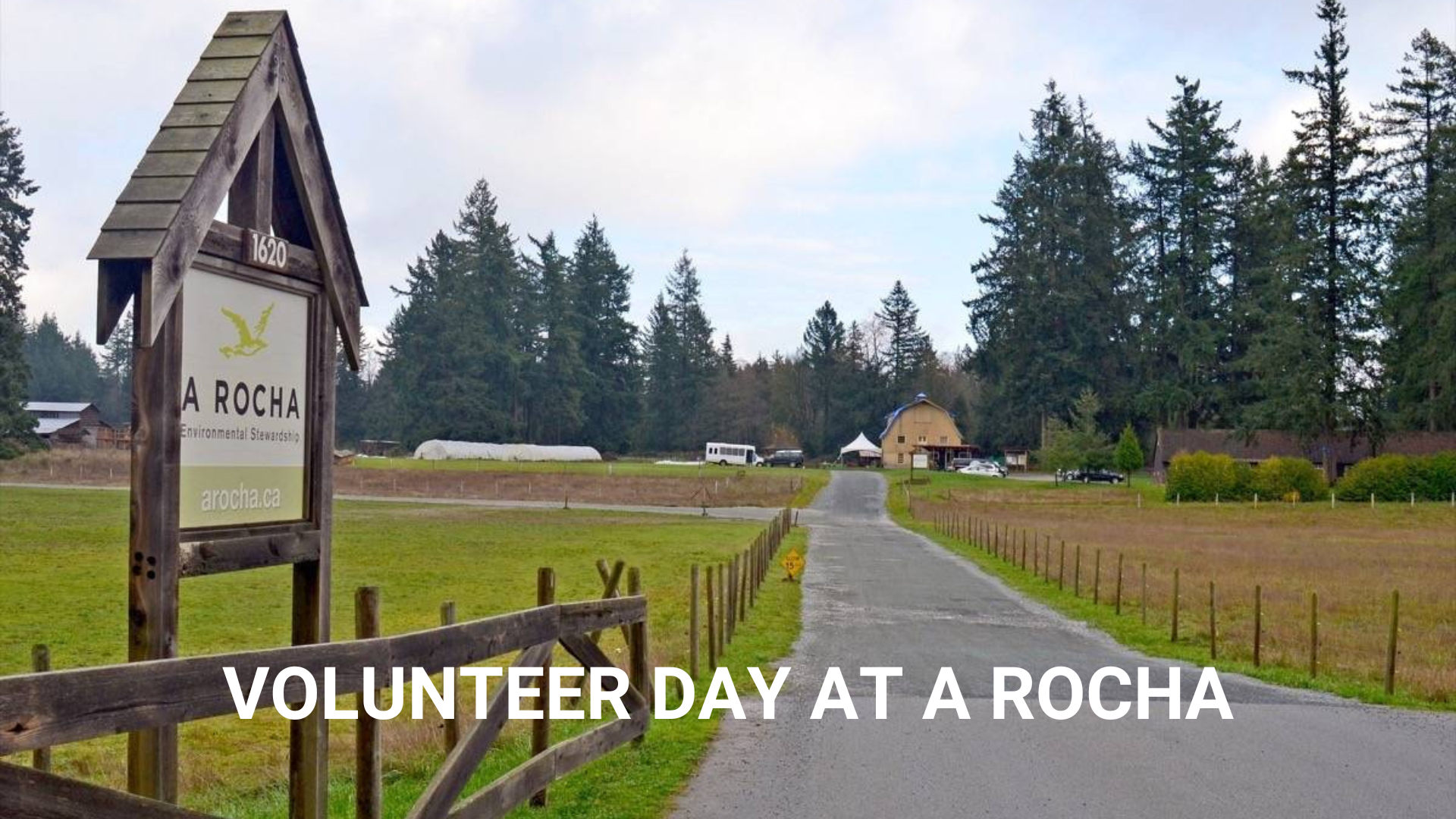 A Rocha Volunteer Day