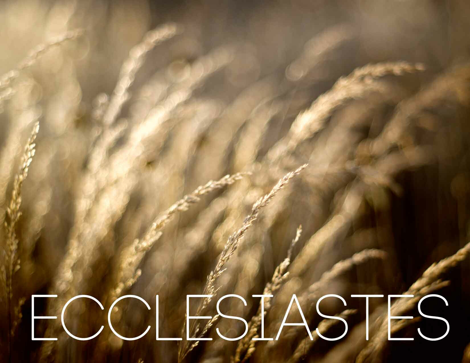 Ecclesiastes | Enjoy