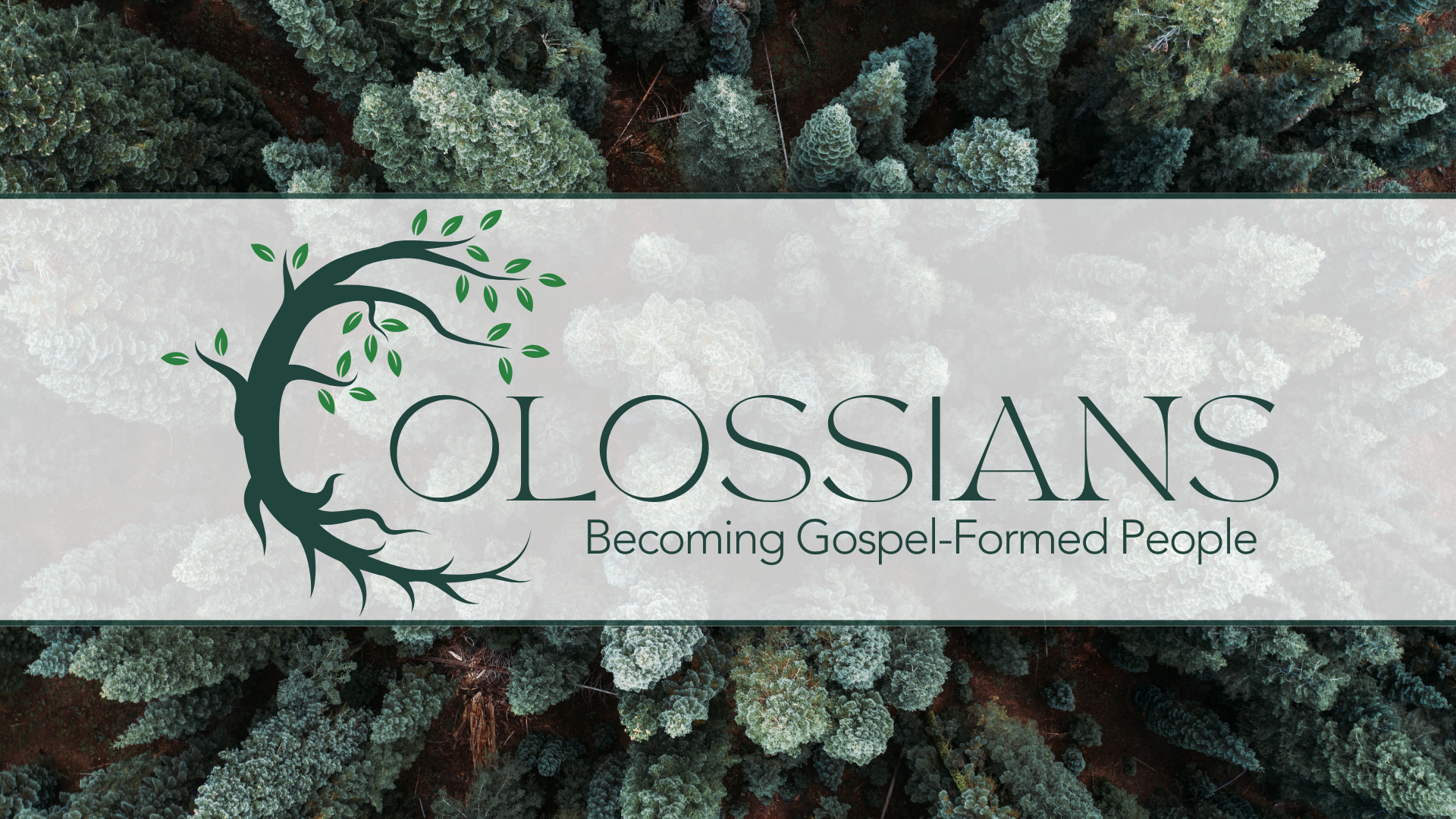 Colossians: Becoming Gospel-Formed People