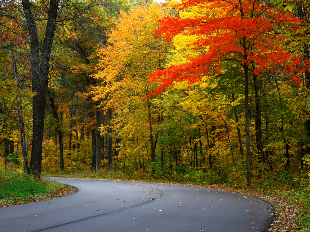 beautiful-fall-scenery-Minnesota