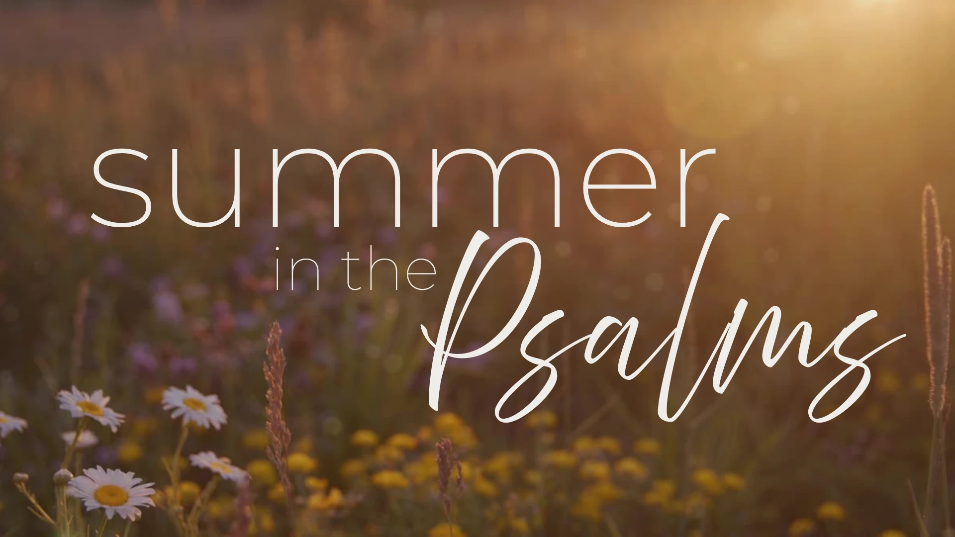 Series - Summer in the Psalms