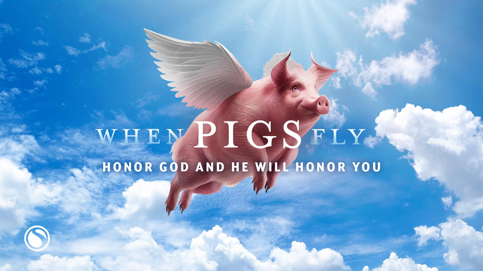 Watch When Pigs Fly - Honor God And He Will Honor You