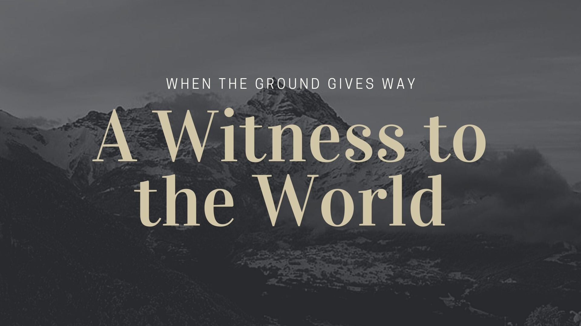 A Witness to the World