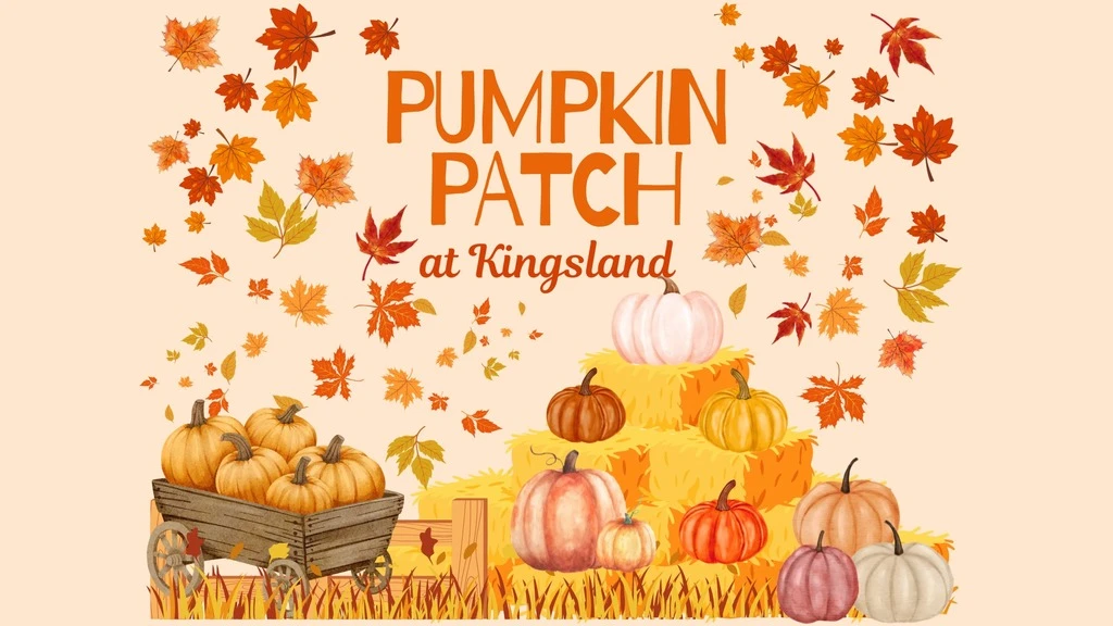 Pumpkin Patch
