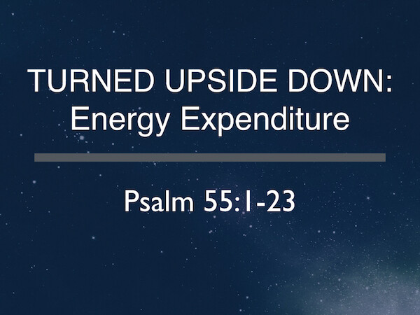 Turned Upside Down: Energy Expenditure (Audio) episode artwork