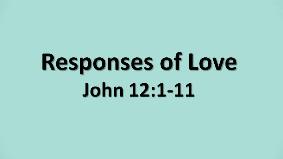 Responses of Love (Video)