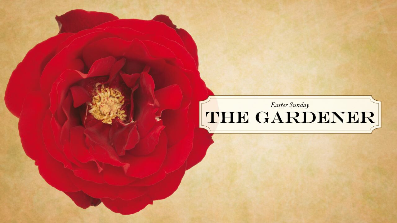 The Gardener (Audio) episode artwork
