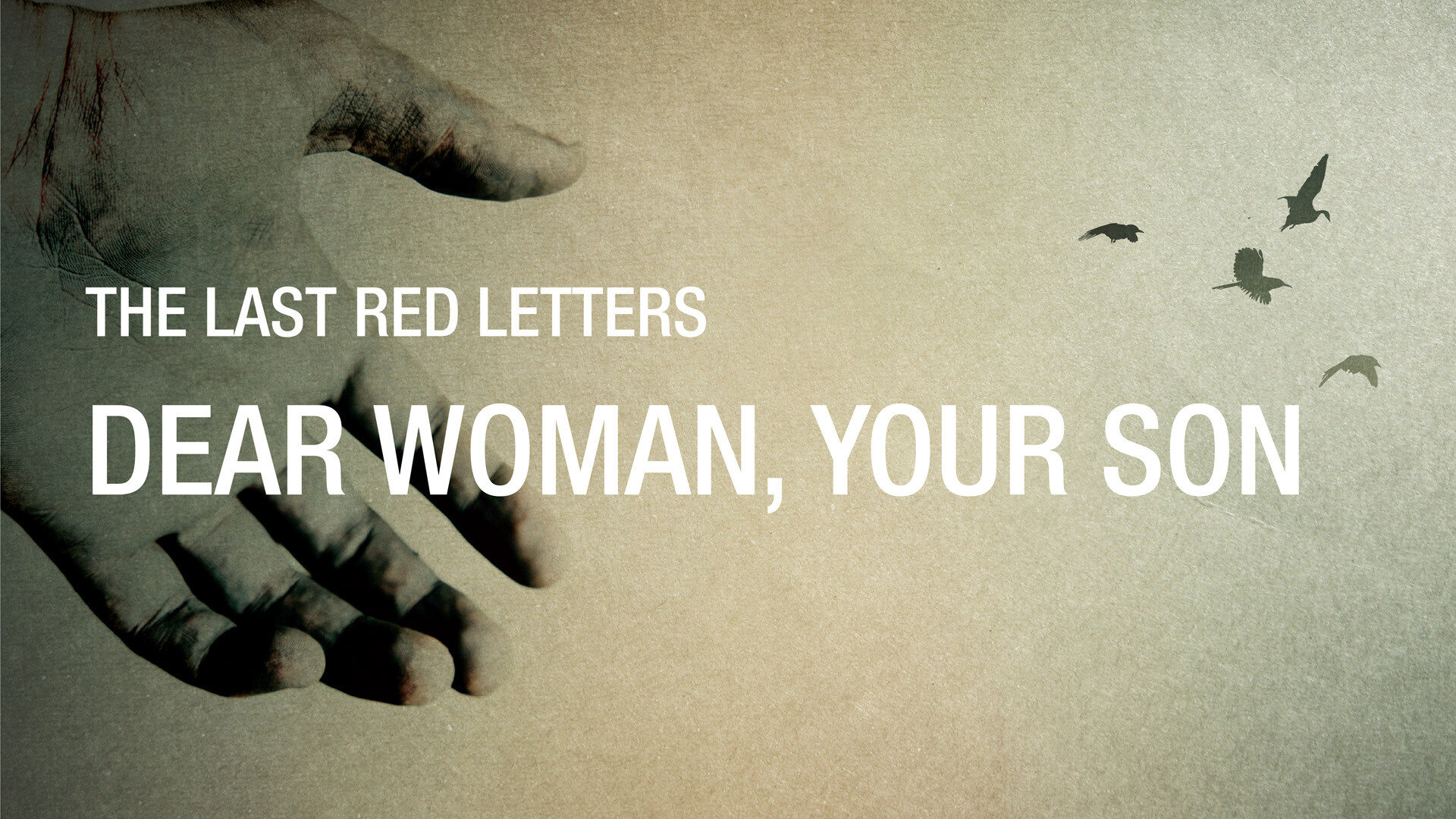 Dear Woman, Your Son (Audio) episode artwork