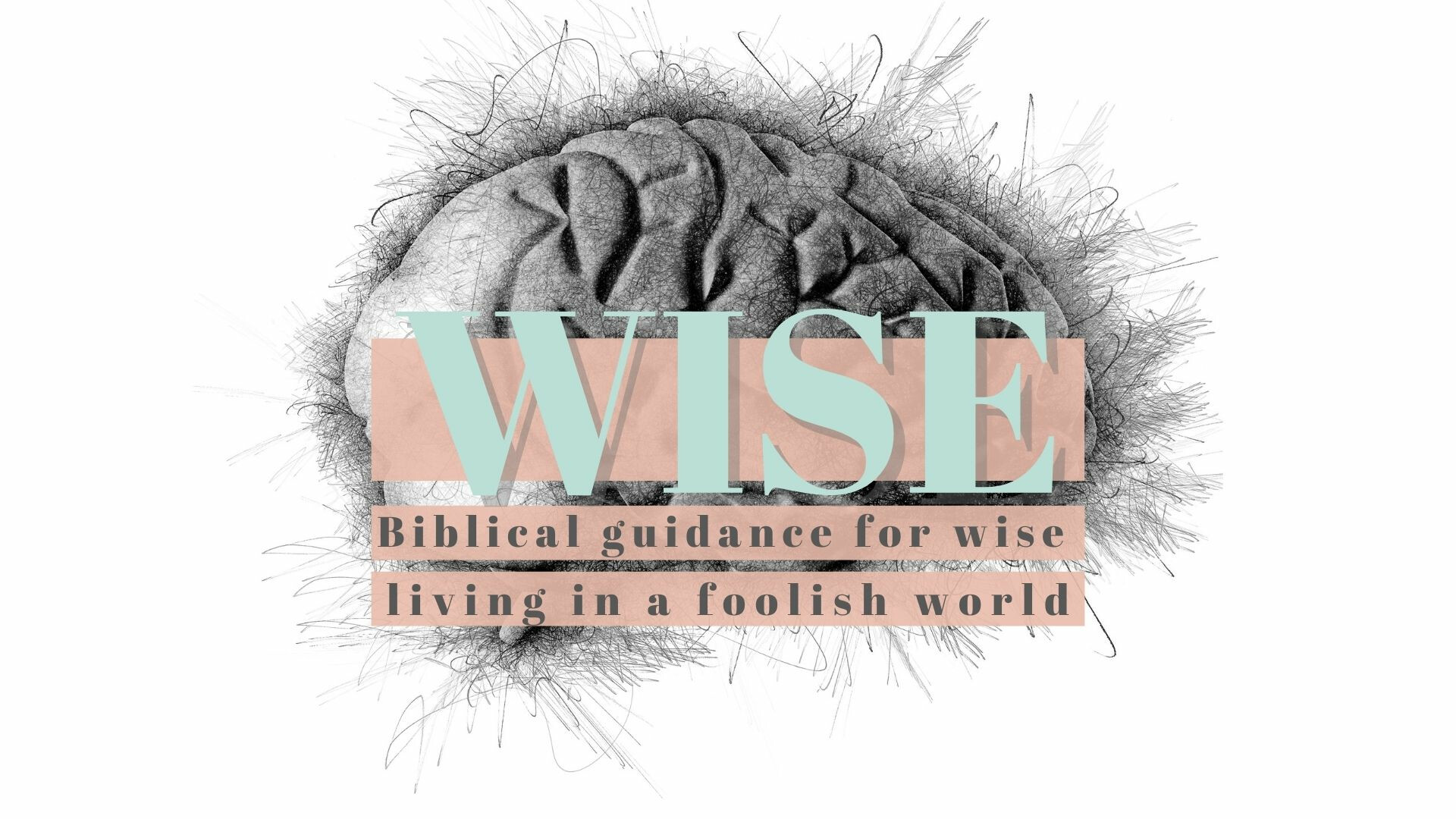 Women's Bible Class: Wise-A Study in Proverbs