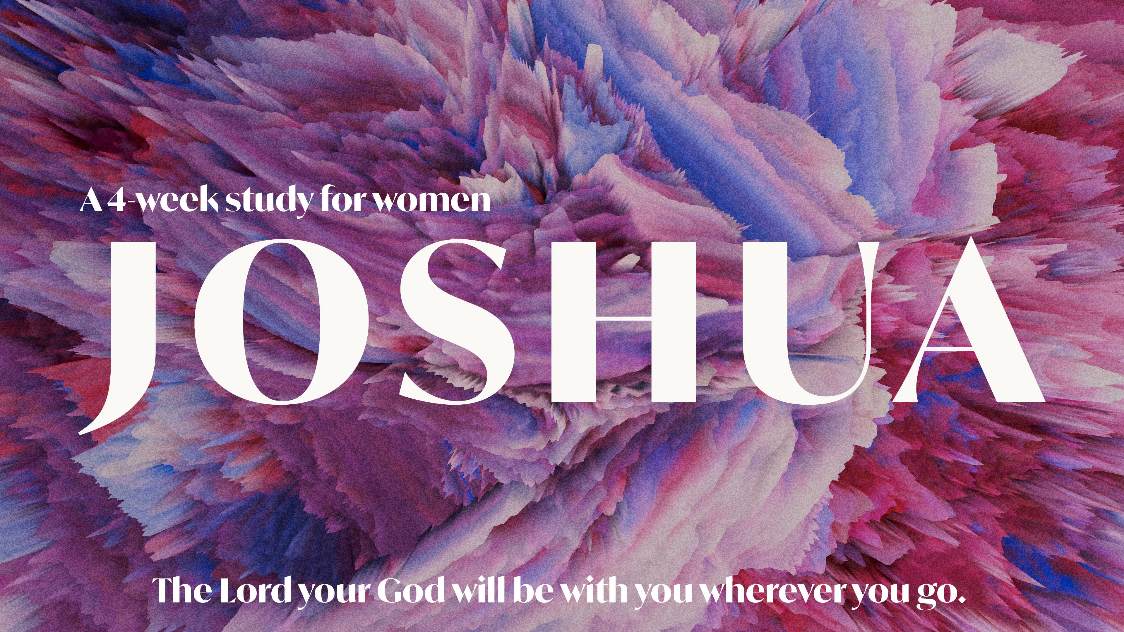 Joshua  (A Women's Study)