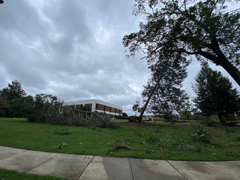 Hurricane Helene aftermath in front of the Rickman Library and Correll Hall