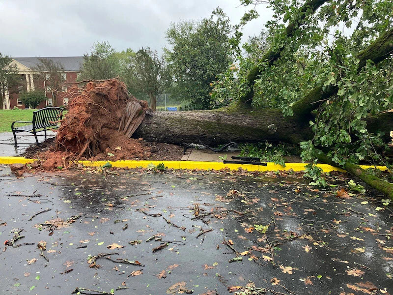 Hurricane Helene aftermath near Folger Auditorium