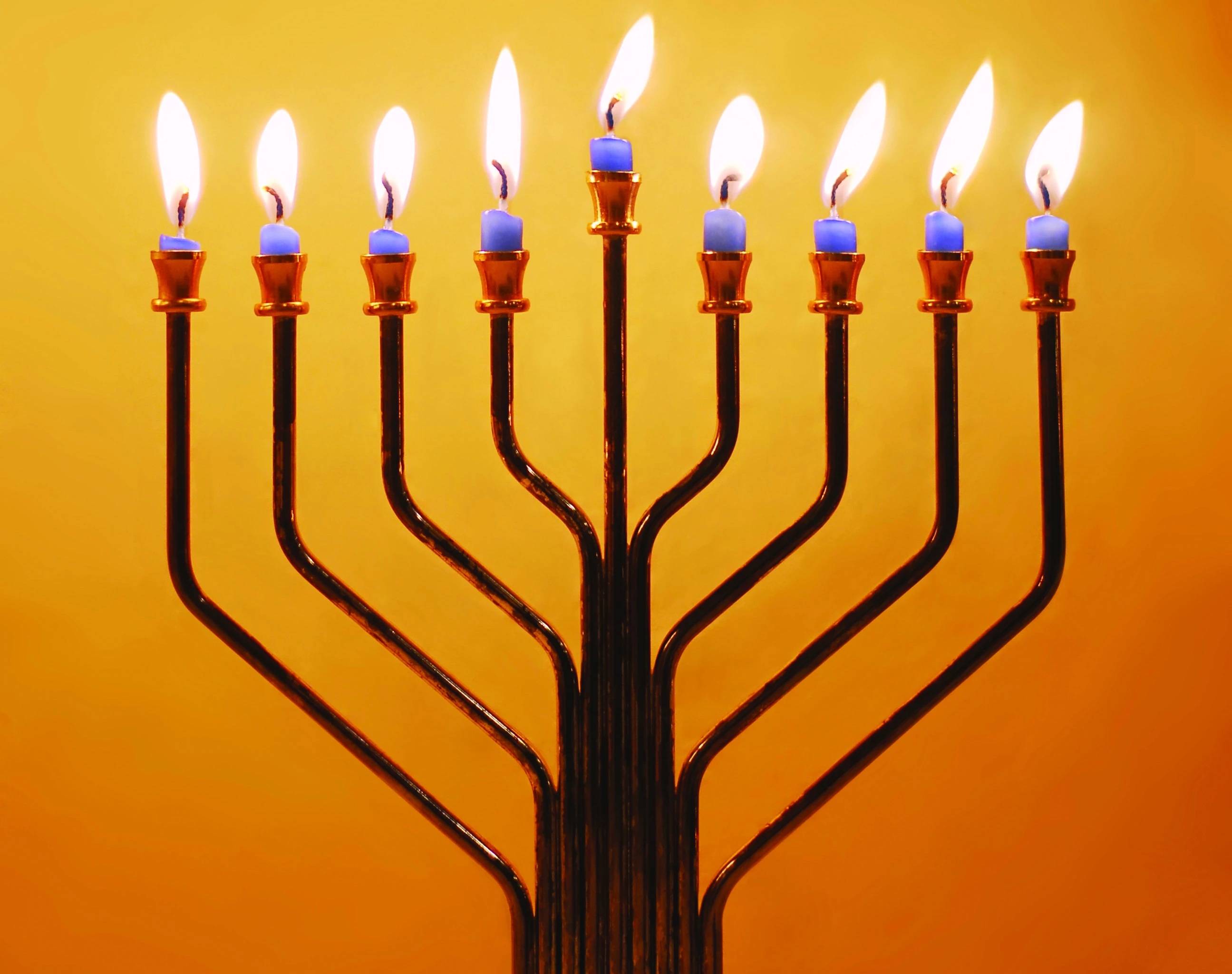The Light of Hannukah
