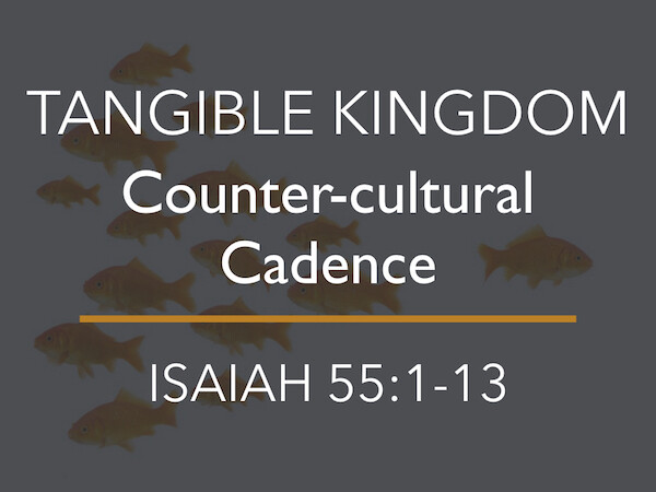 Counter-Cultural Cadence (Audio) episode artwork