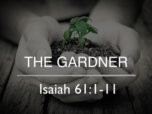 The Gardner (Audio) episode artwork