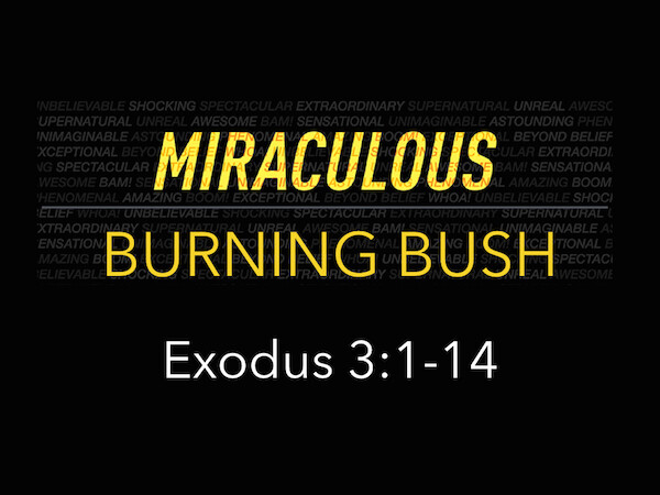 Miraculous: Burning Bush (Audio) episode artwork