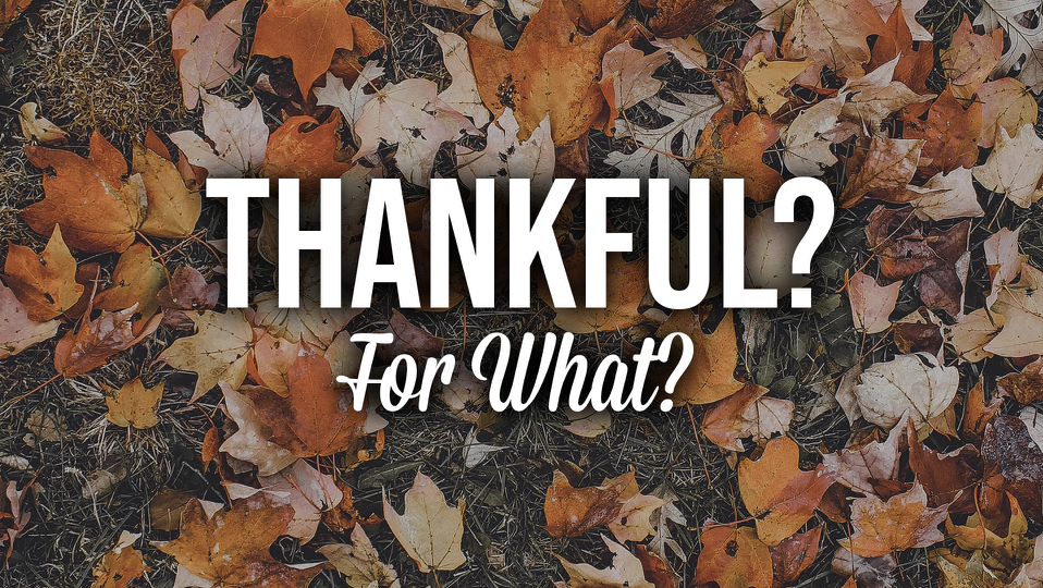 Thankful? For What Exactly? episode artwork