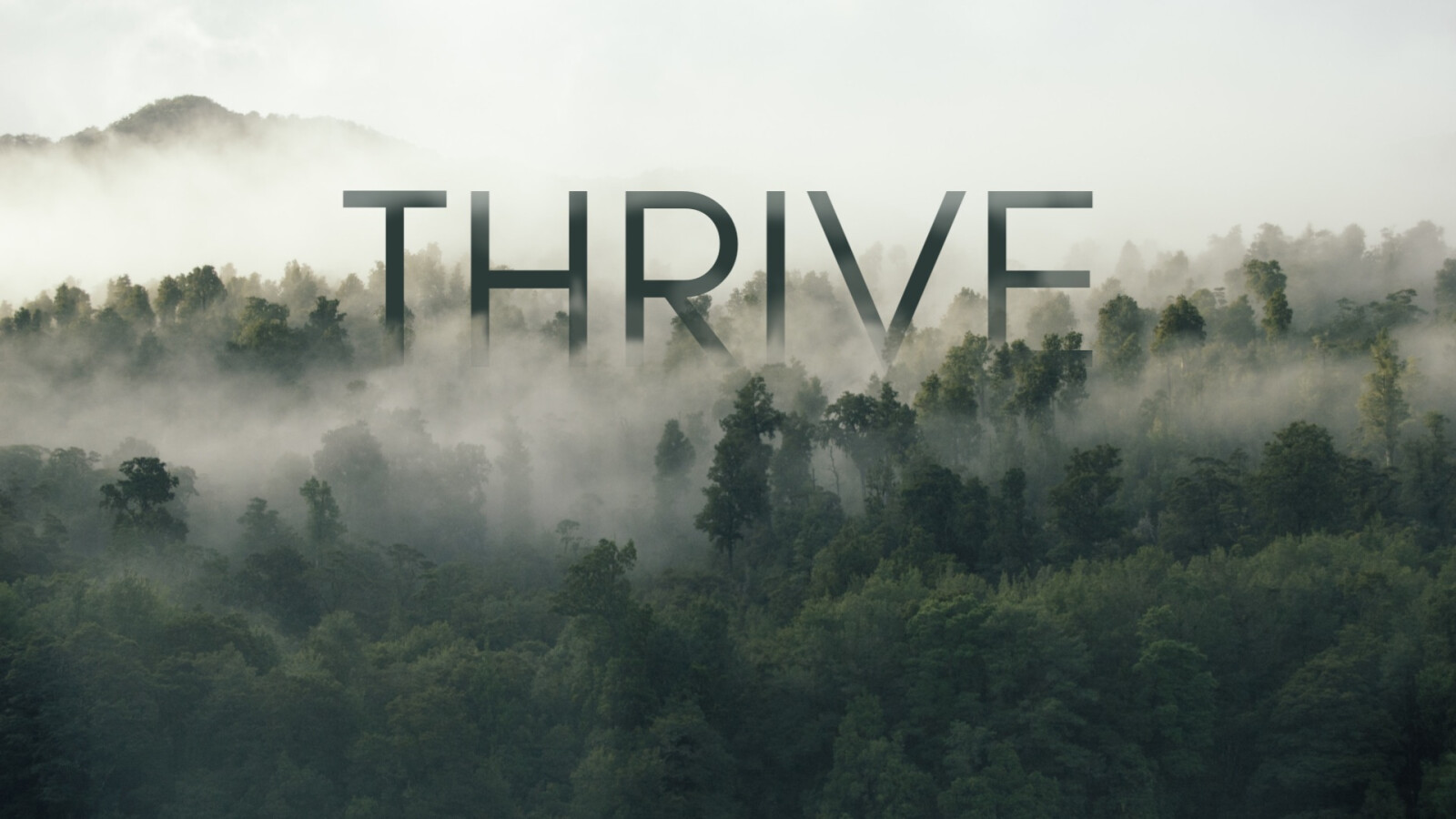 Thrive - We Were Made for More