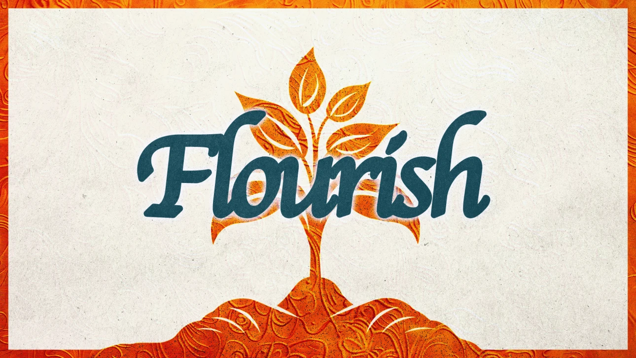 Series-Flourish