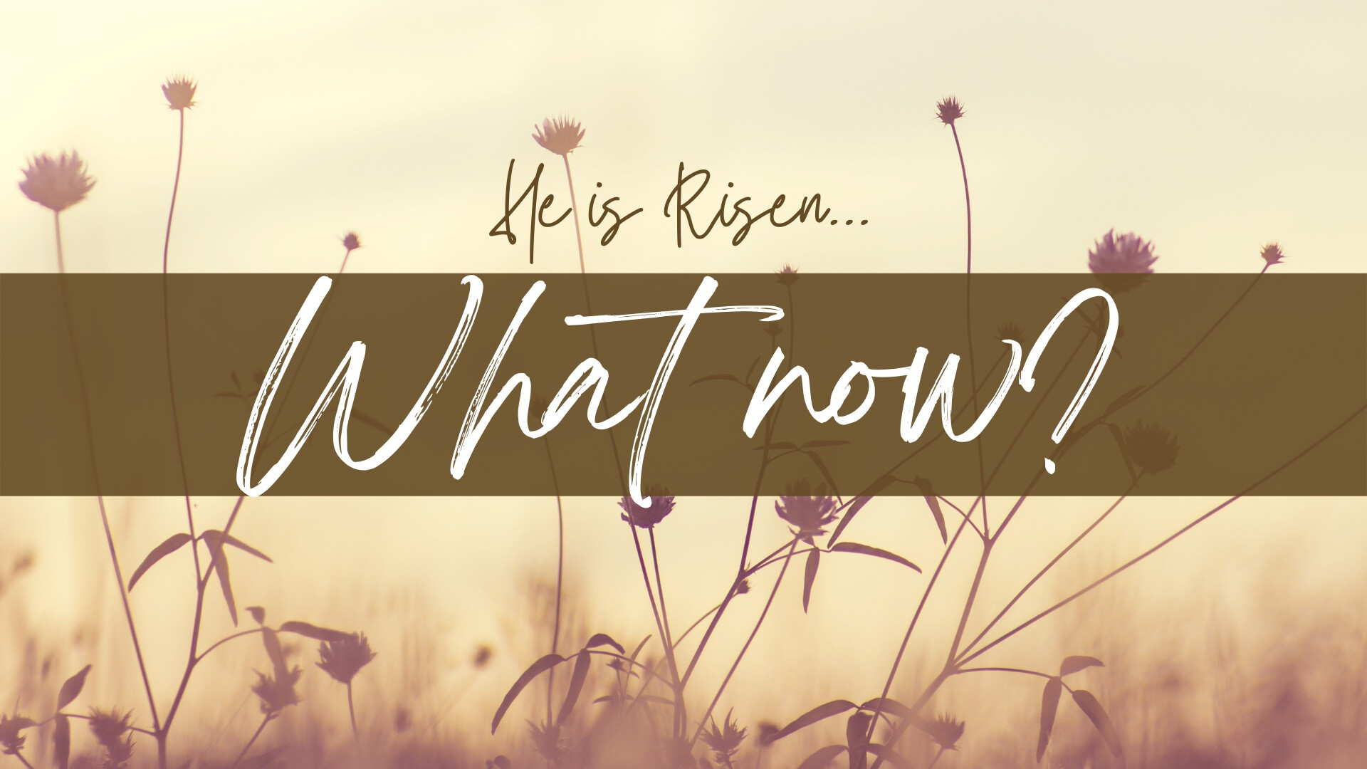 What Now? (Audio) episode artwork