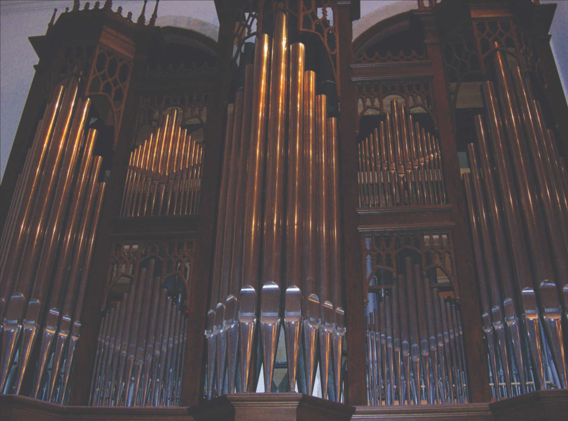 Organ Image