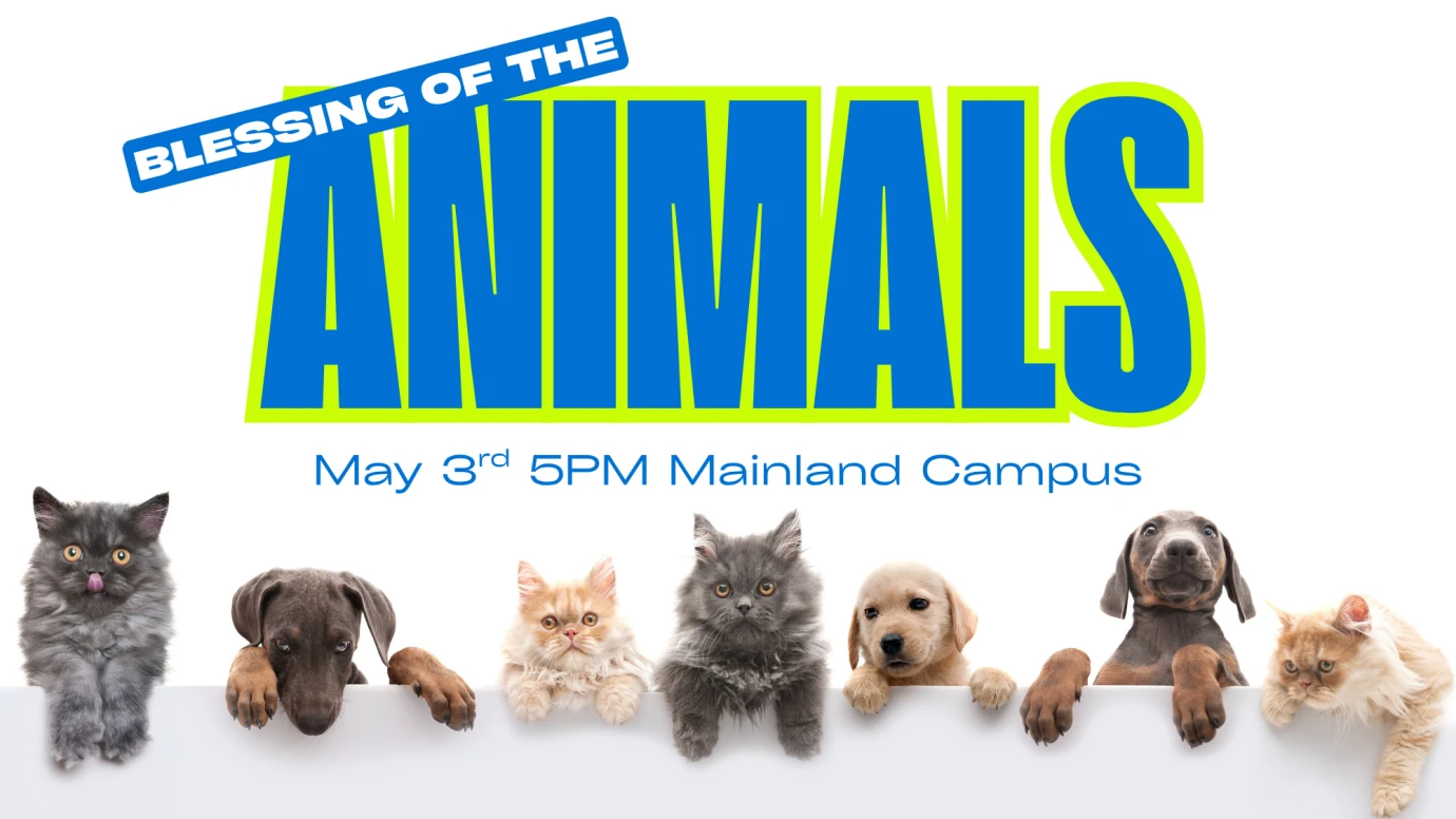 Blessing of the Animals