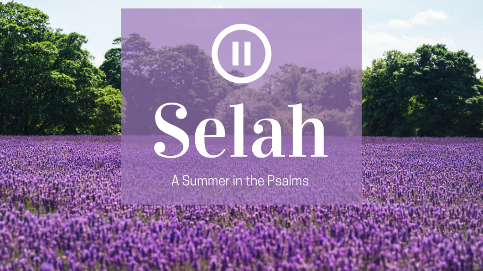 Selah: A Summer in the Psalms