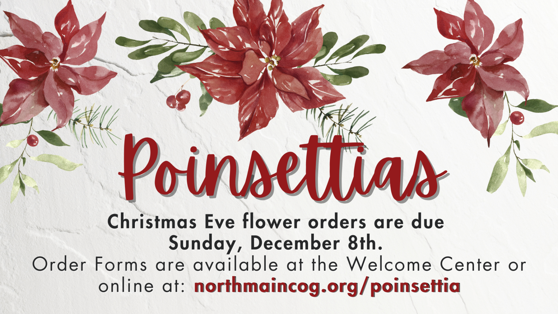 Poinsettia Orders