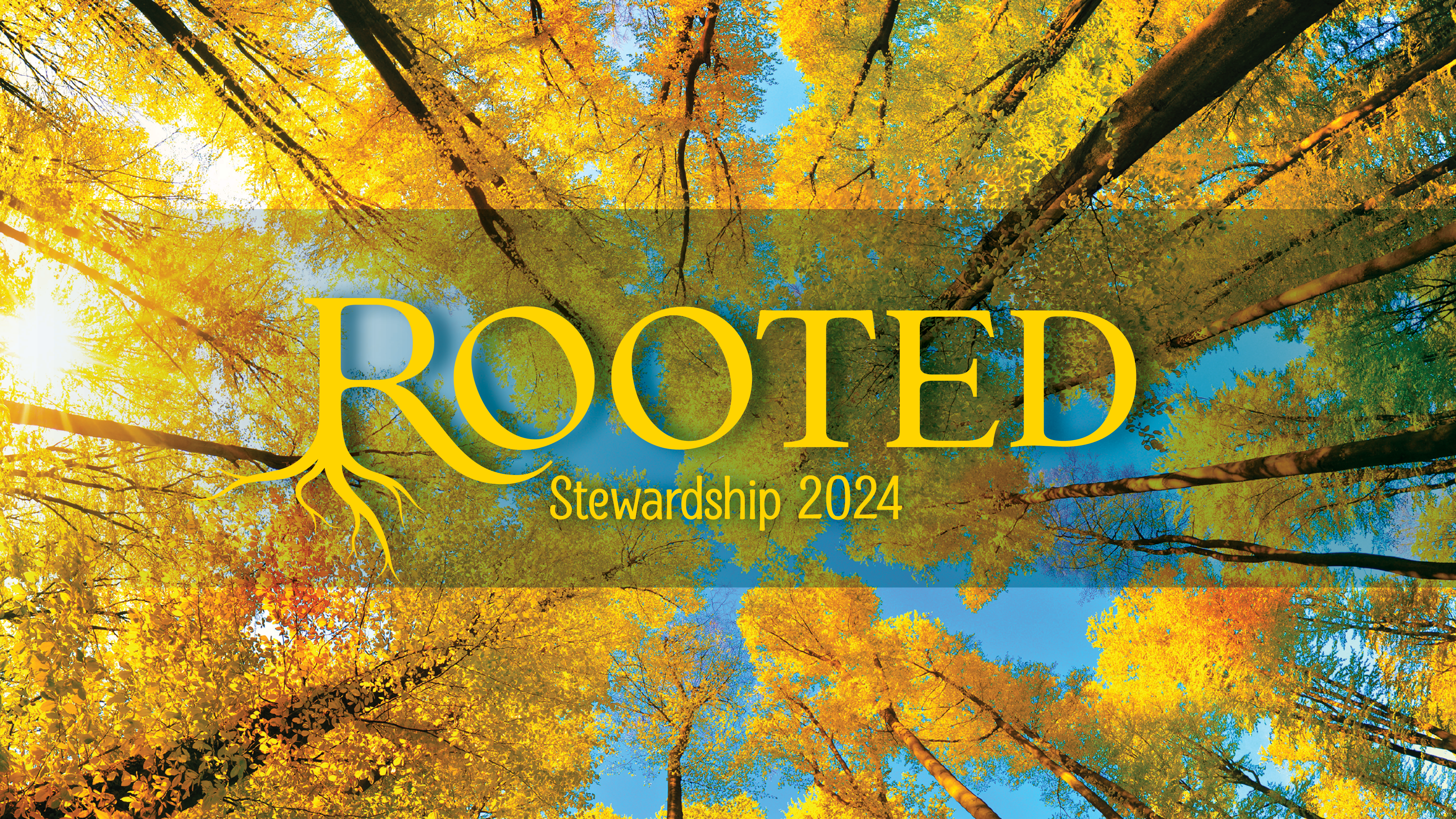 “Rooted in Unity” (Audio) episode artwork