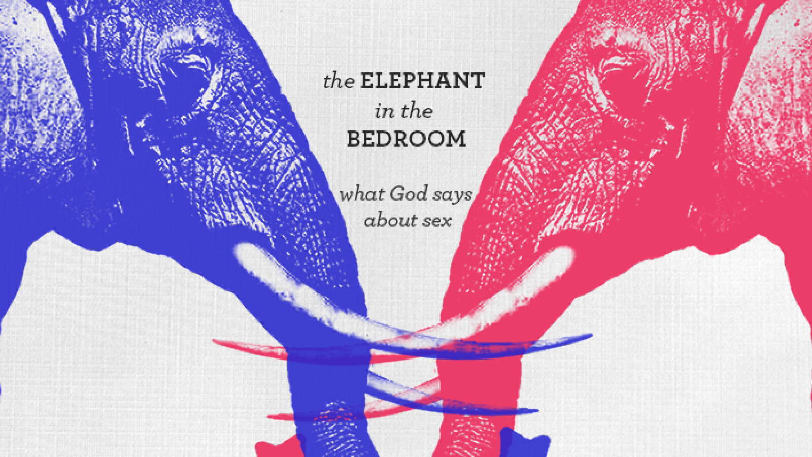 The Elephant in the Bedroom