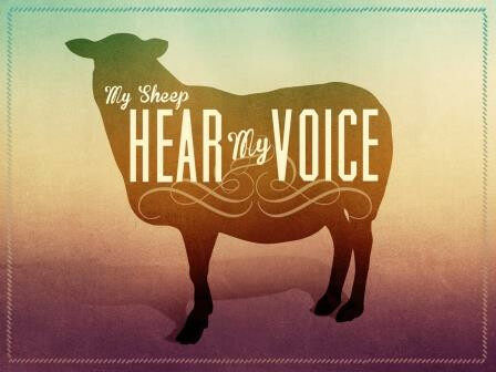 My Sheep Hear My Voice