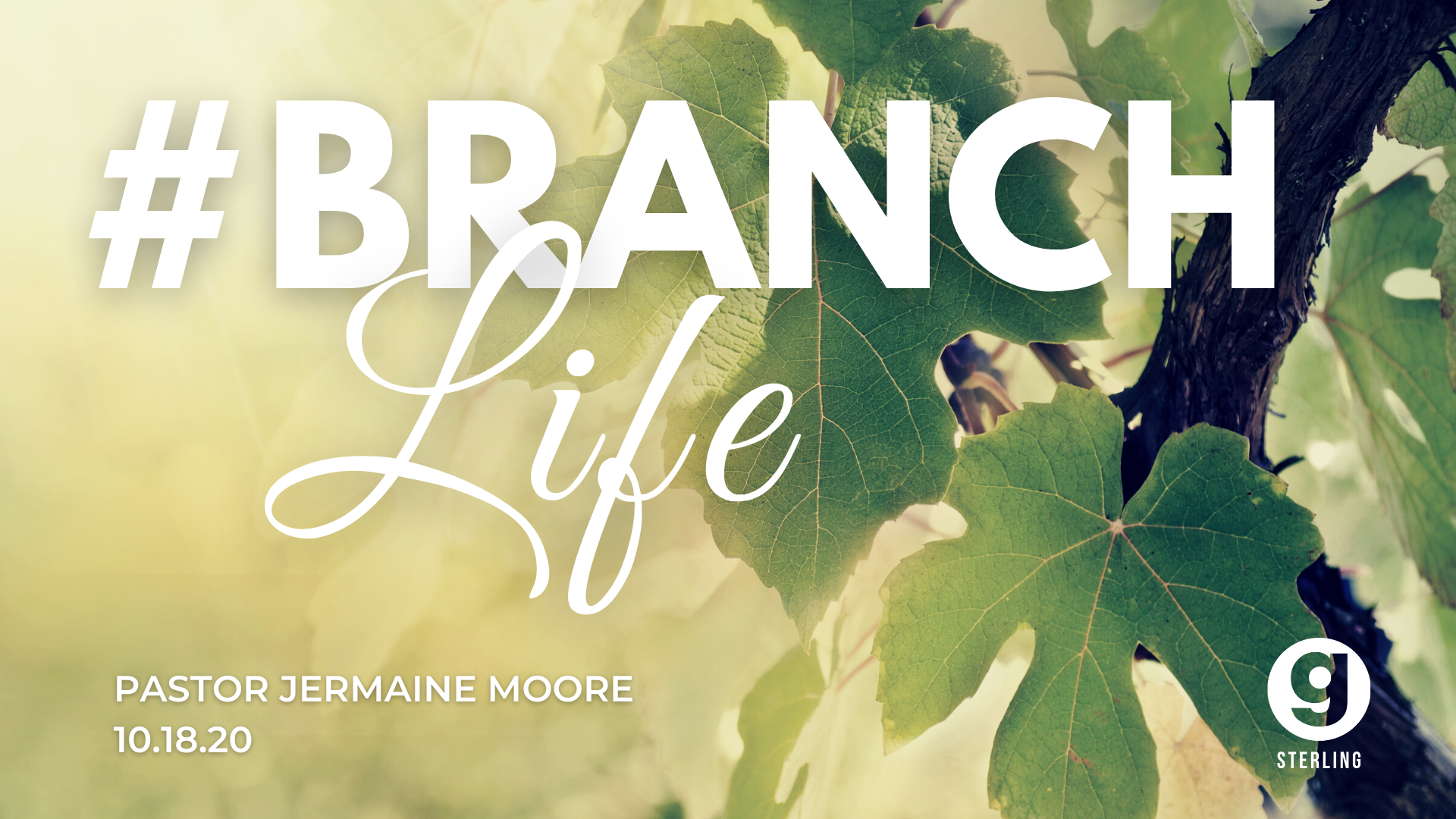 #BranchLife episode artwork