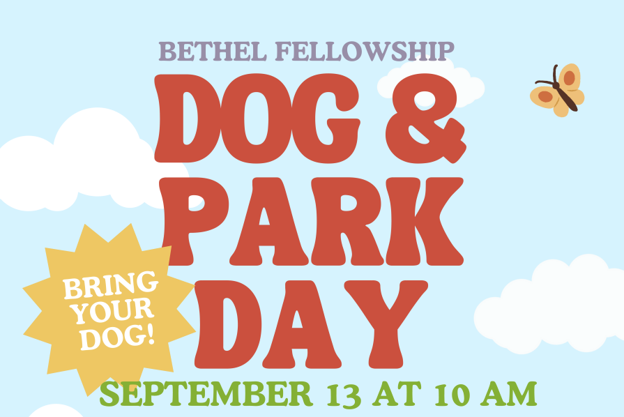 Dog Park Day