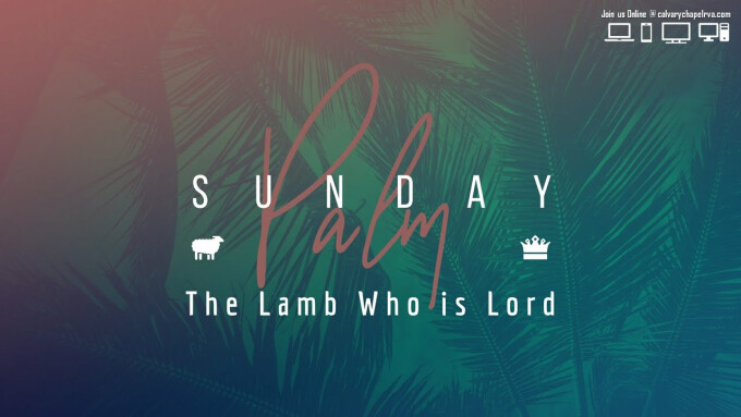 The Lamb Who is Lord