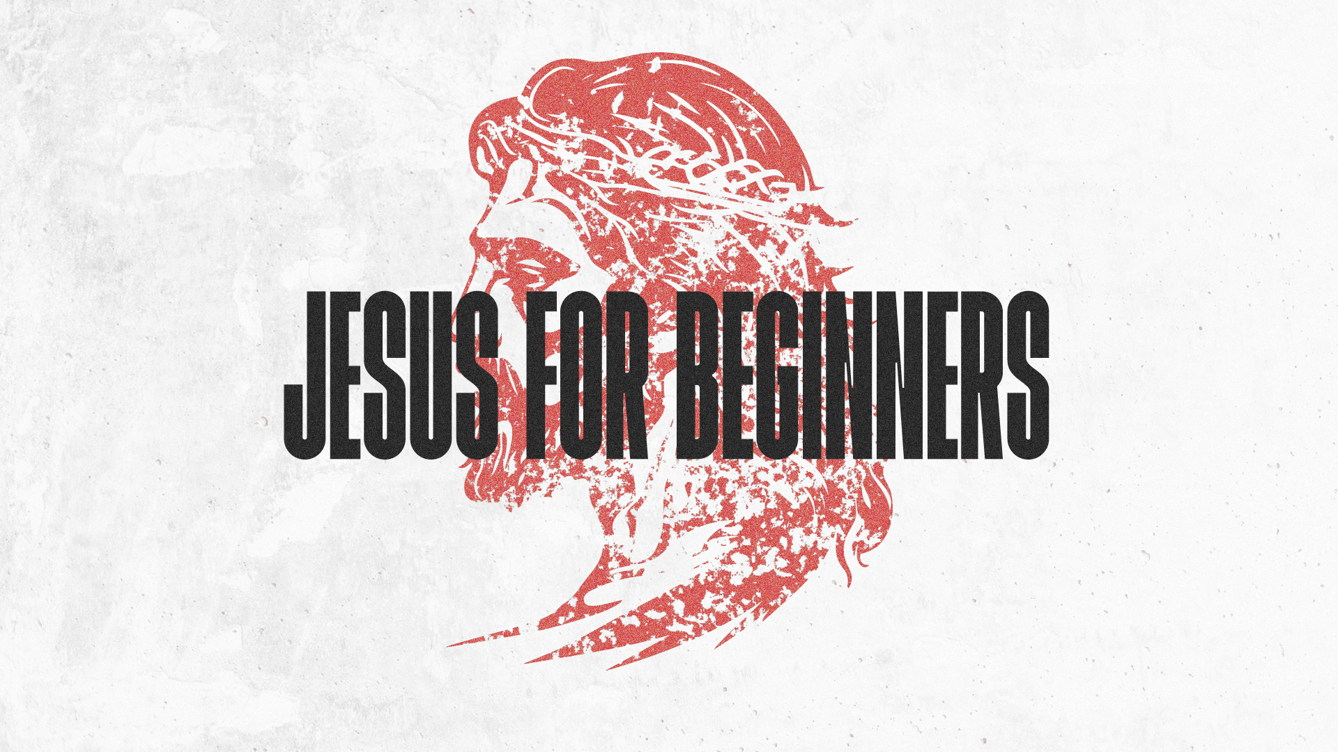 Jesus for Beginners
