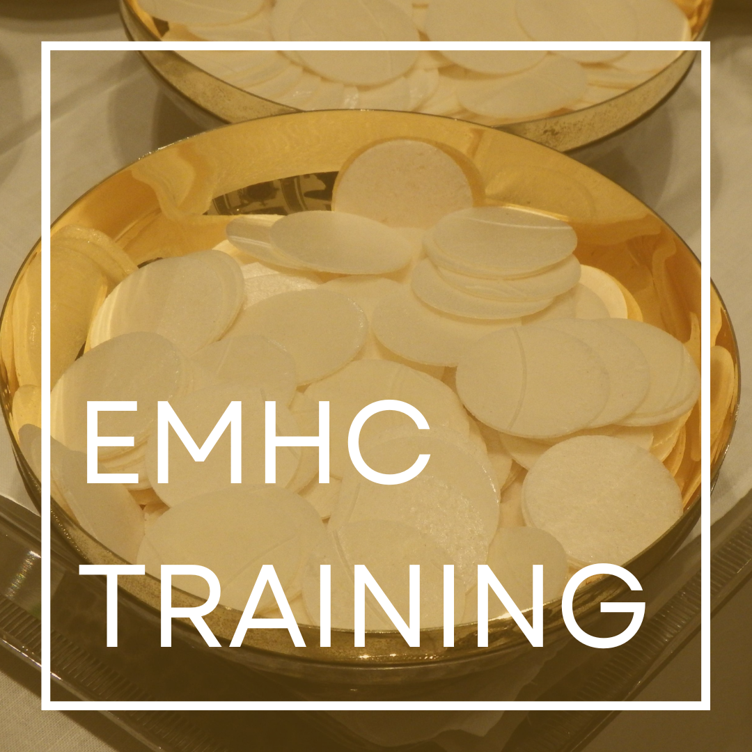 EMHC Training for Visitation Ministry